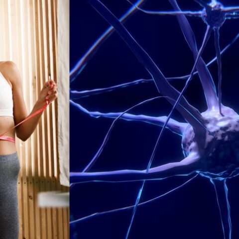 dieta de la serotonina