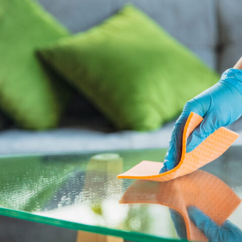 desinfectar el hogar