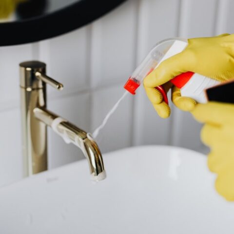 bacterias comunes en el hogar