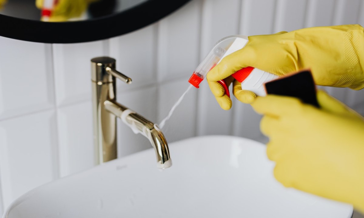 bacterias comunes en el hogar