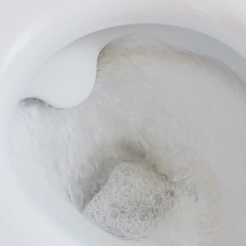 Esta es la razón por la que debes bajar la tapa del baño antes de jalar la palanca.