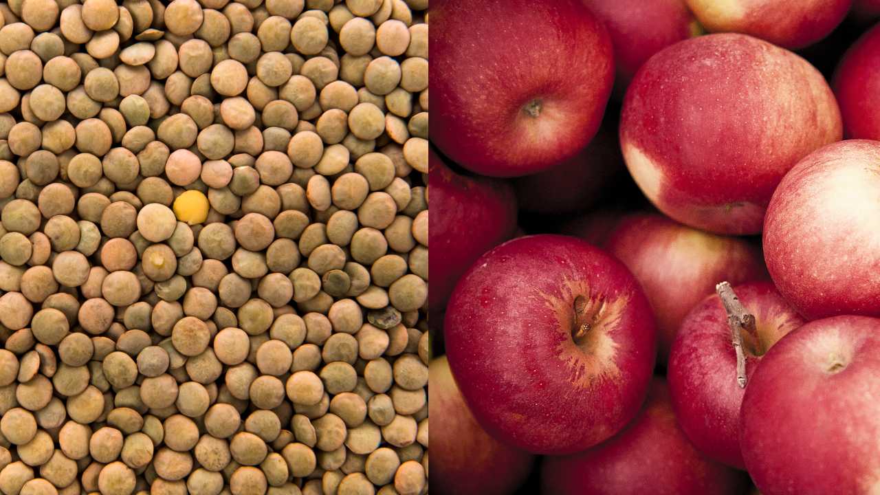 lentejas y manzanas