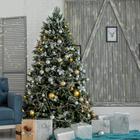 dónde dejar el árbol de navidad centros de acopio