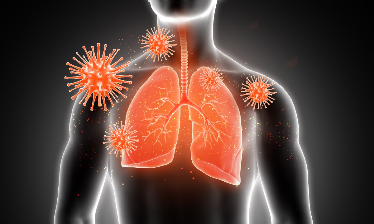 fortalecer el sistema inmunologico que hacer