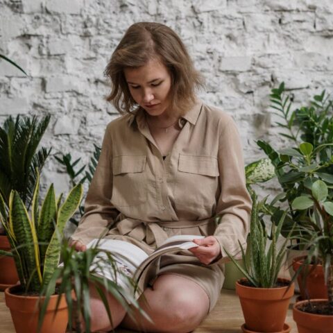 hierbas para eliminar malas energías