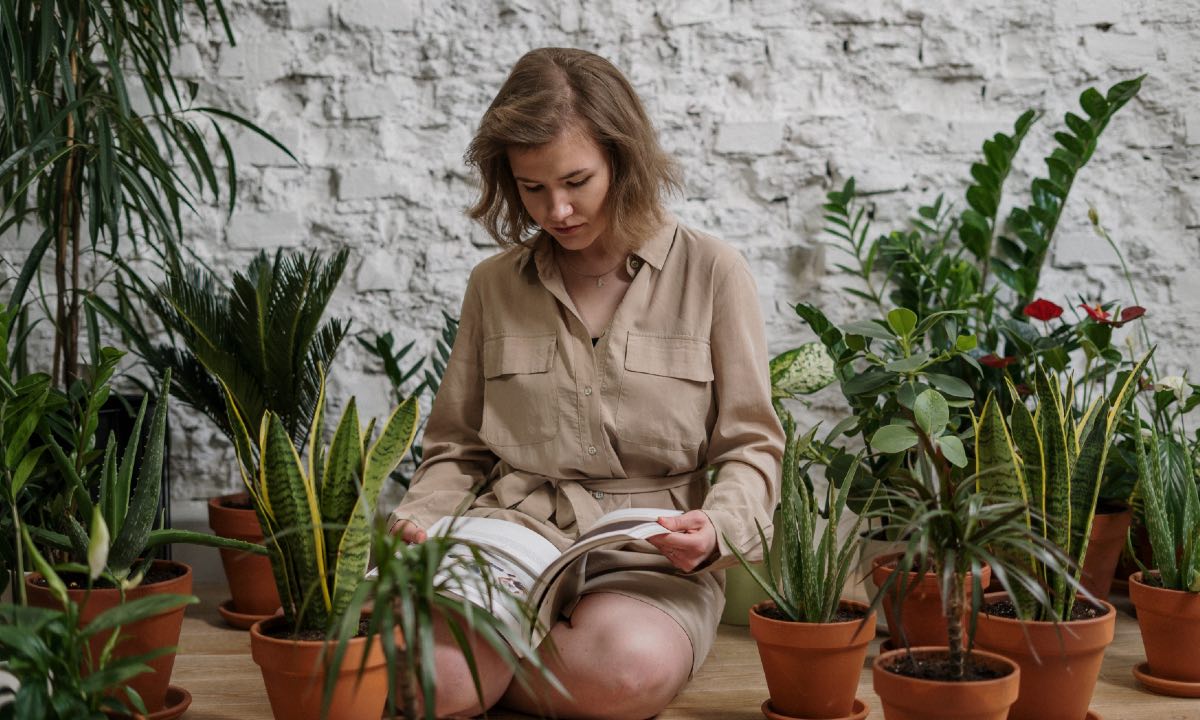 hierbas para eliminar malas energías