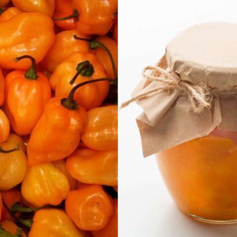 Mermelada y chiles habaneros