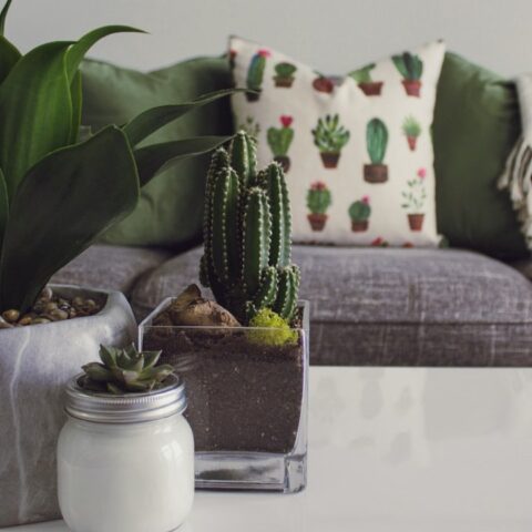 de qué protegemos los muebles