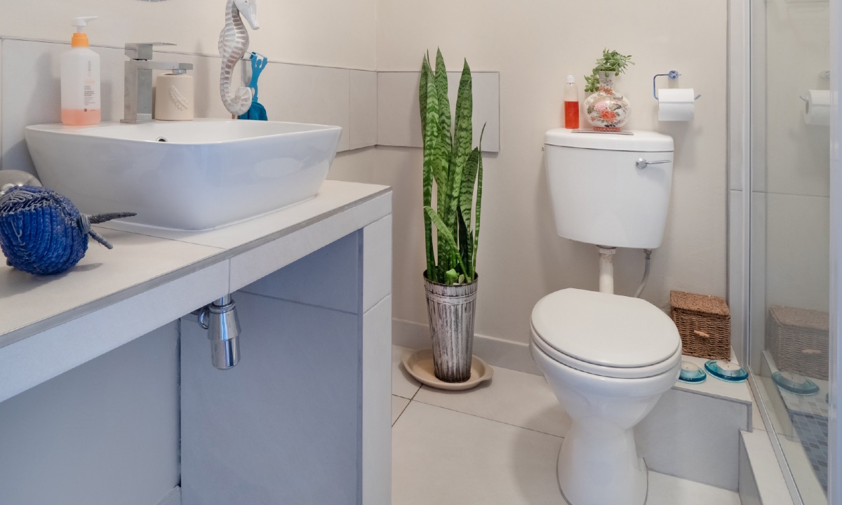 remedios caseros para evitar infeccion vias urinarias