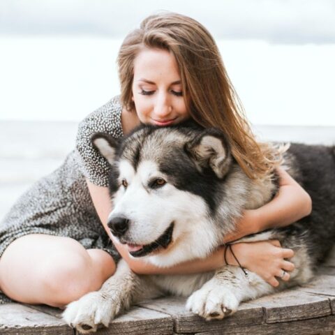 seguro para mascotas perros