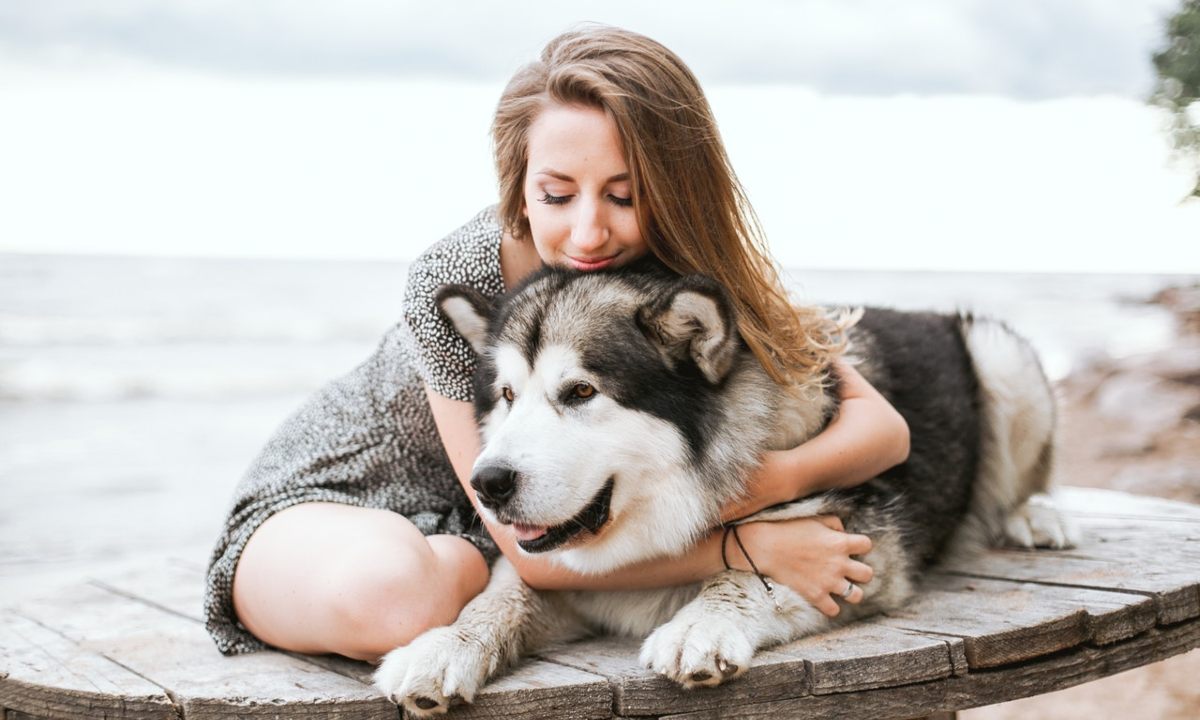 seguro para mascotas perros