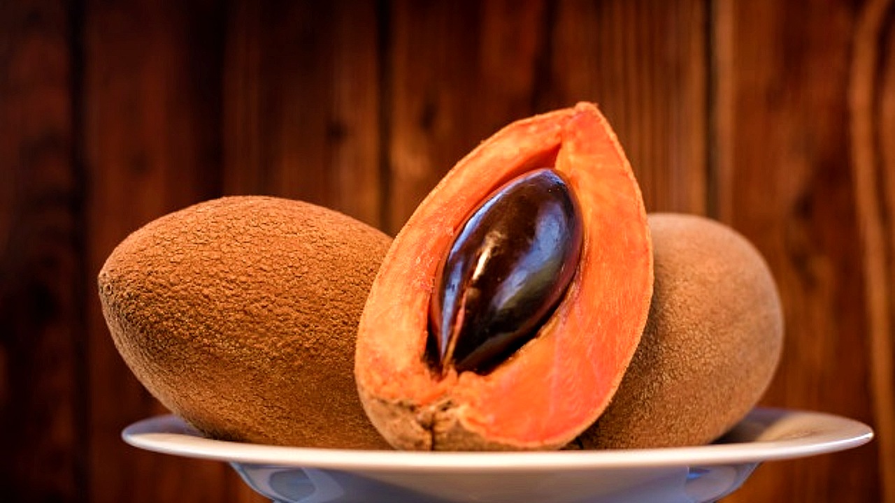 hueso de mamey oaxaqueño