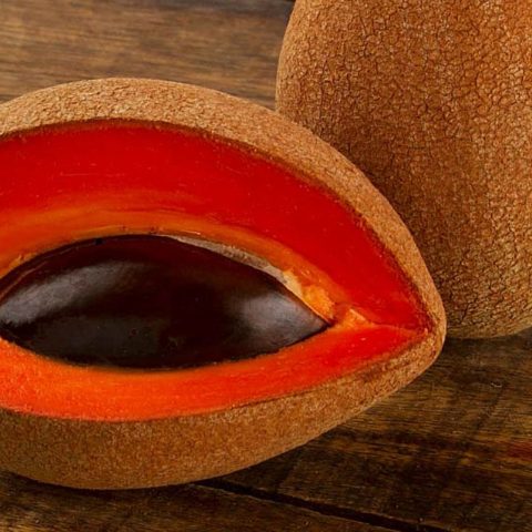 hueso de mamey o pixtle