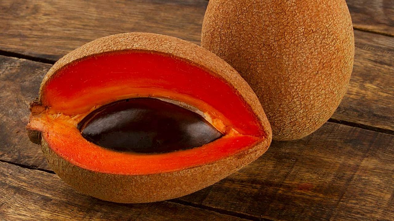 hueso de mamey o pixtle