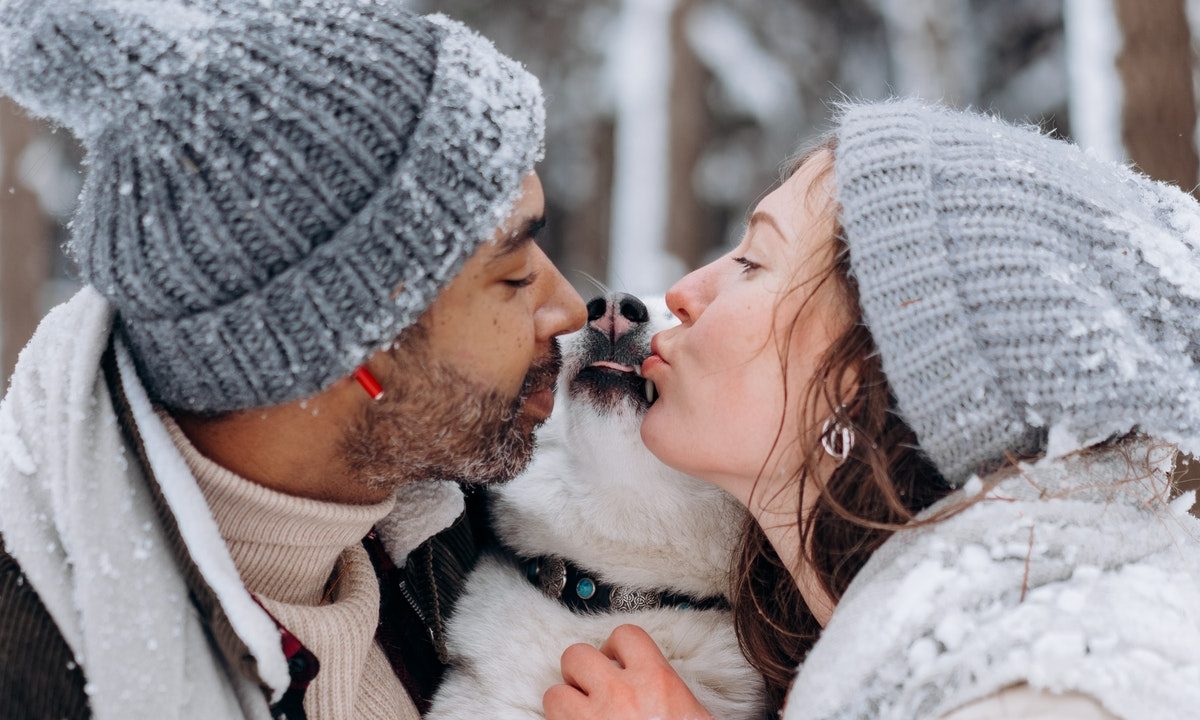 señales de que tu perro se está convirtiendo en un perrhijo malcriado