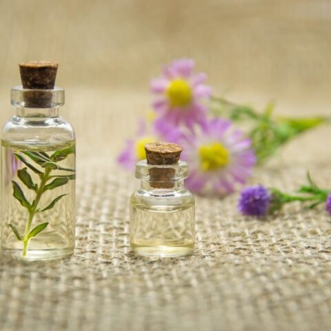 para qué sirve el aceite de jojoba y cómo usarlo para la piel y el cabello