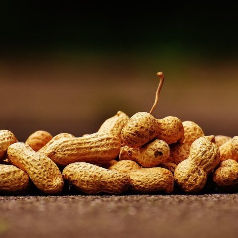 beneficios del cacahuate más sorprendentes salud diabetes