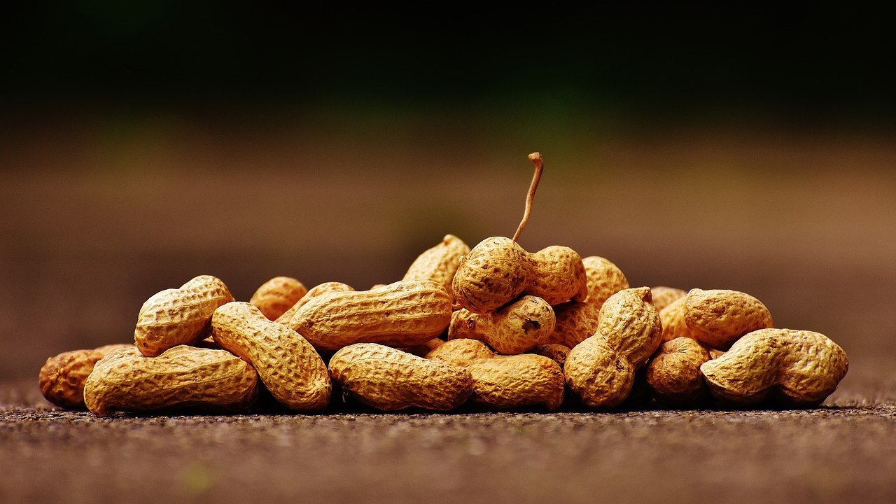 beneficios del cacahuate más sorprendentes salud diabetes