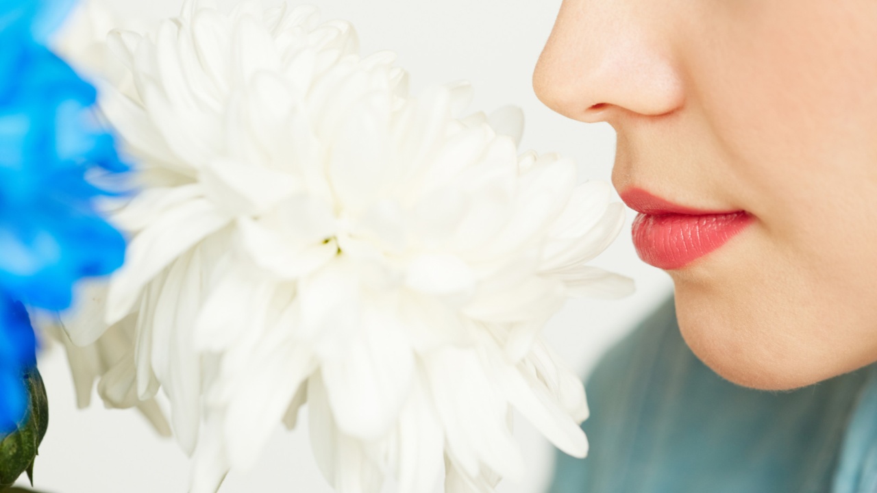 olores que necesitas para recuperar el olfato covid-19