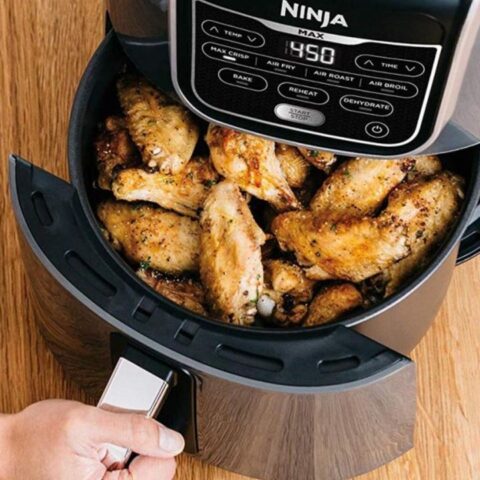 como elegir la mejor freidora de aire