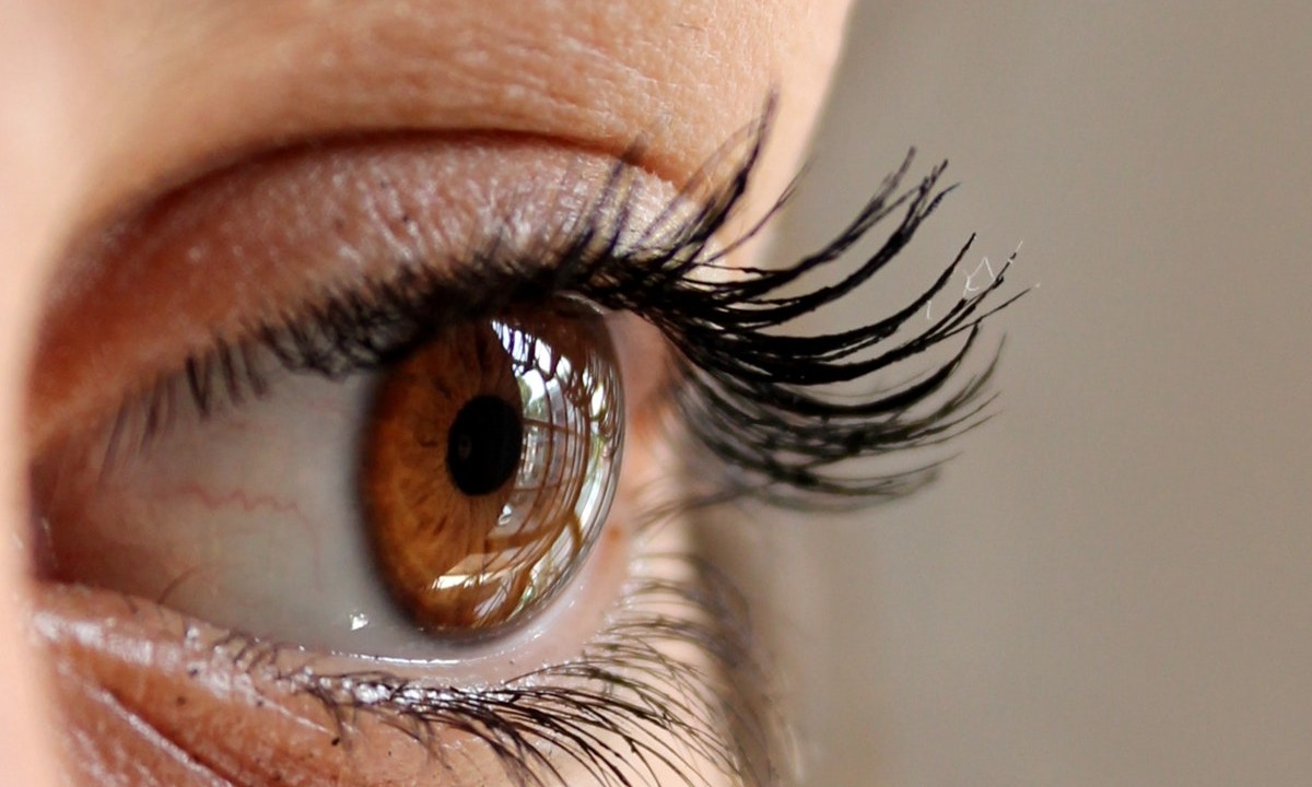 consigue pestañas largas y hermosas con aguacate tip