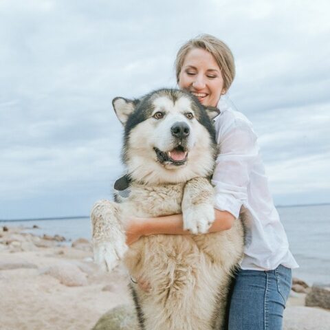señales de que tu perro se está convirtiendo en un perrhijo malcriado