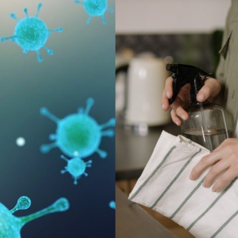 como los gérmenes y bacterias enferman a la gente