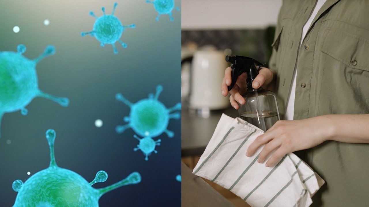 como los gérmenes y bacterias enferman a la gente