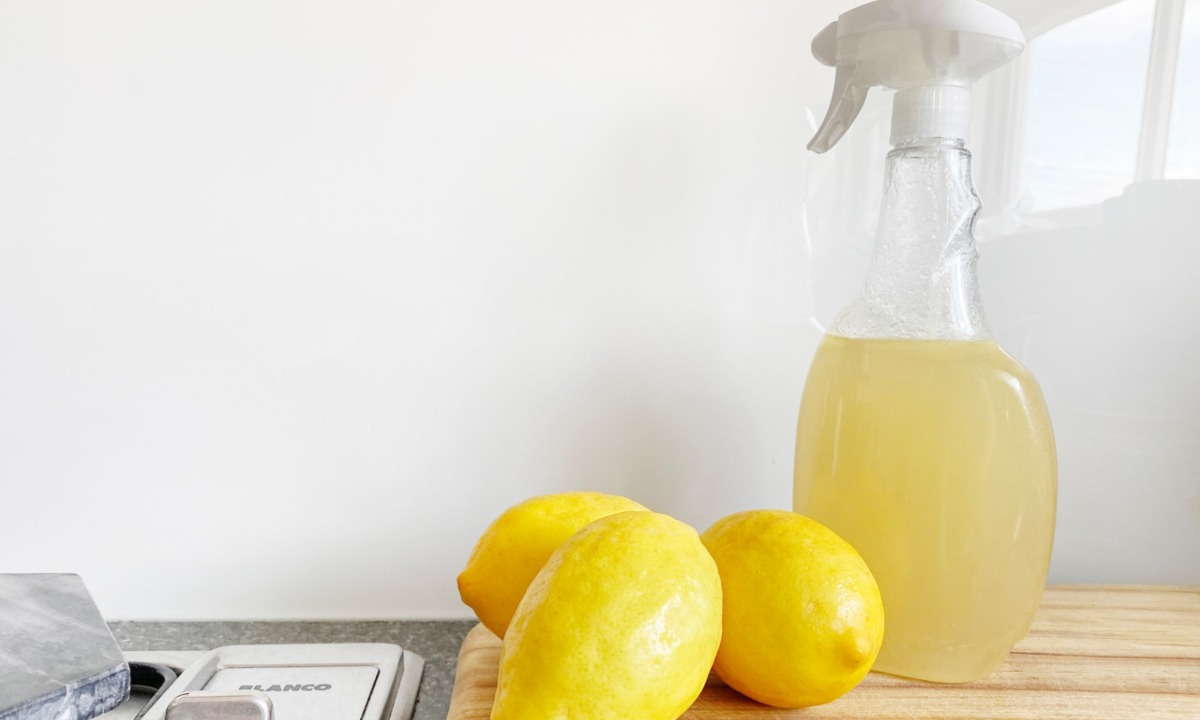 métodos para desinfectar la casa que no funcionan