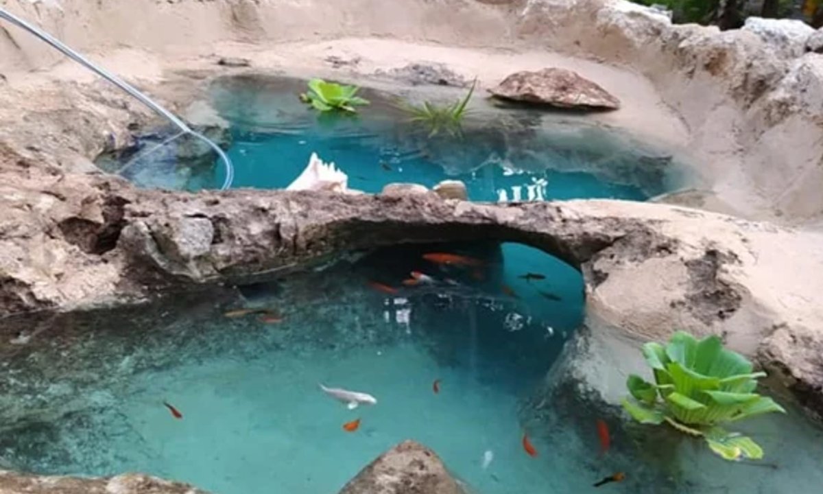 mini cenote estanque en jardin familia de yucatan