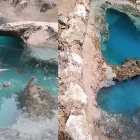 mini cenote estanque en jardin familia de yucatan
