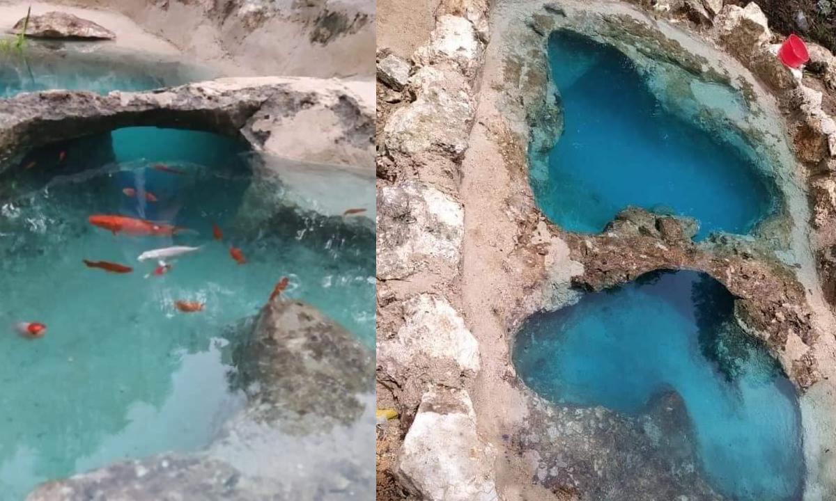 mini cenote estanque en jardin familia de yucatan