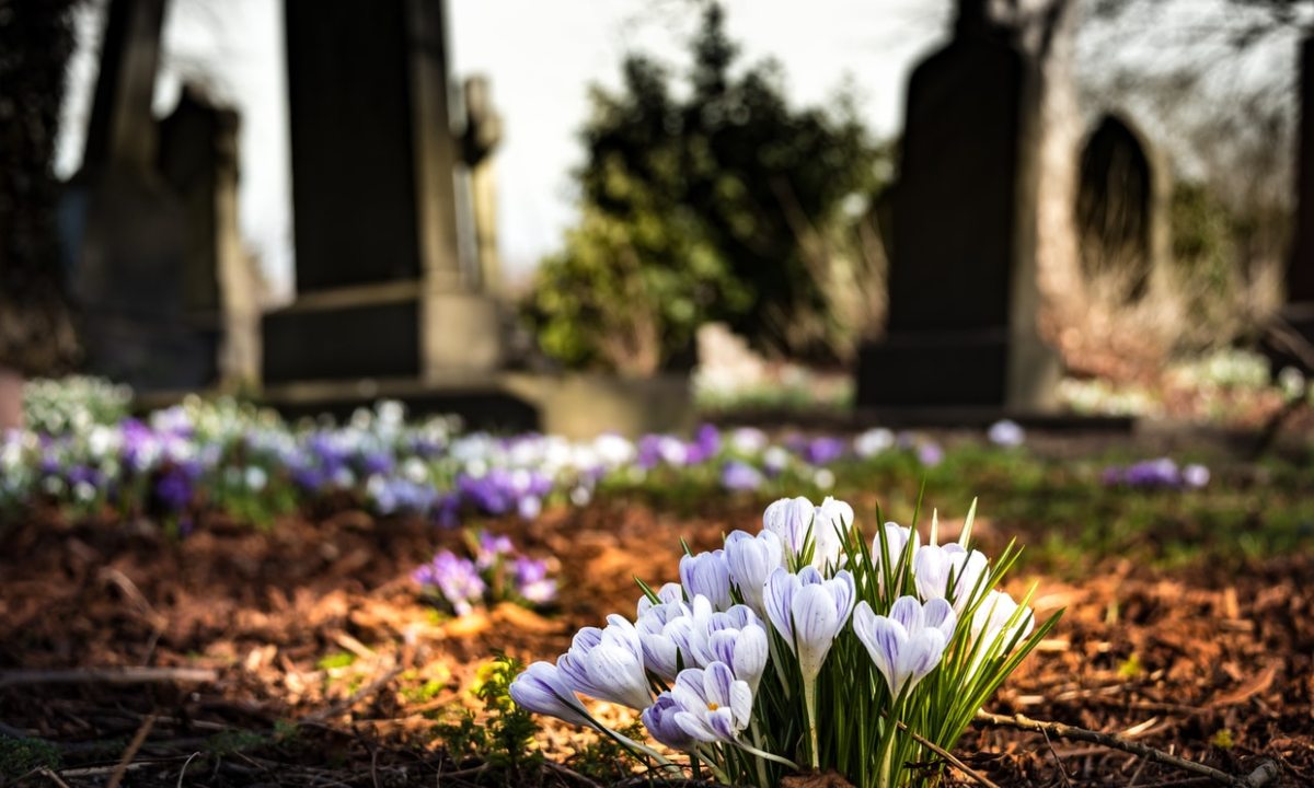 señales de que un ser querido sigue cerca después de la muerte
