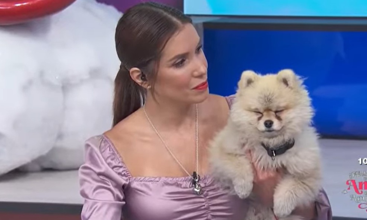 tomasito llora por la muerte de magda rodriguez