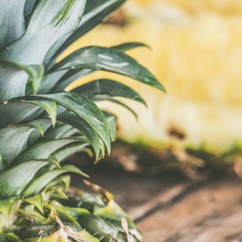 razones para comer piña