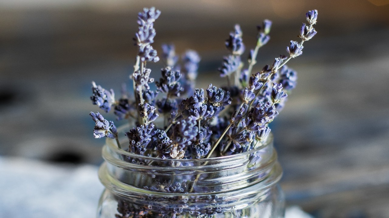aceite de lavanda para que crezca el pelo