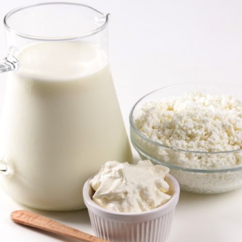 beneficios del kefir o bulgaros