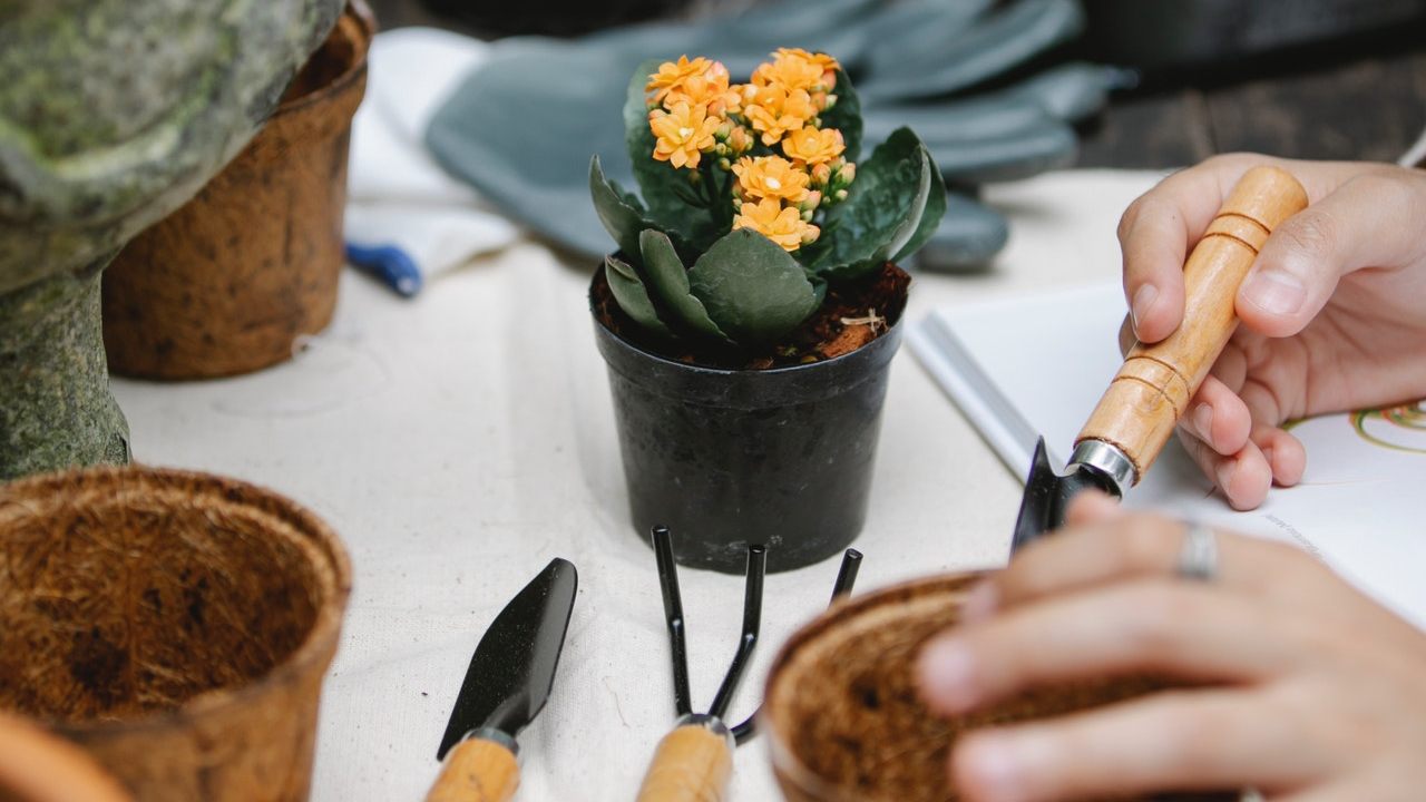 como hacer mini invernadero casero paso a paso