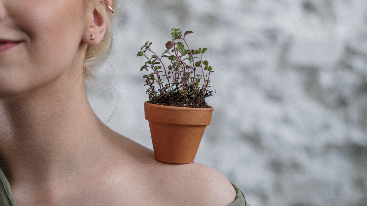 plantas que necesitas hogar fecha en que naciste