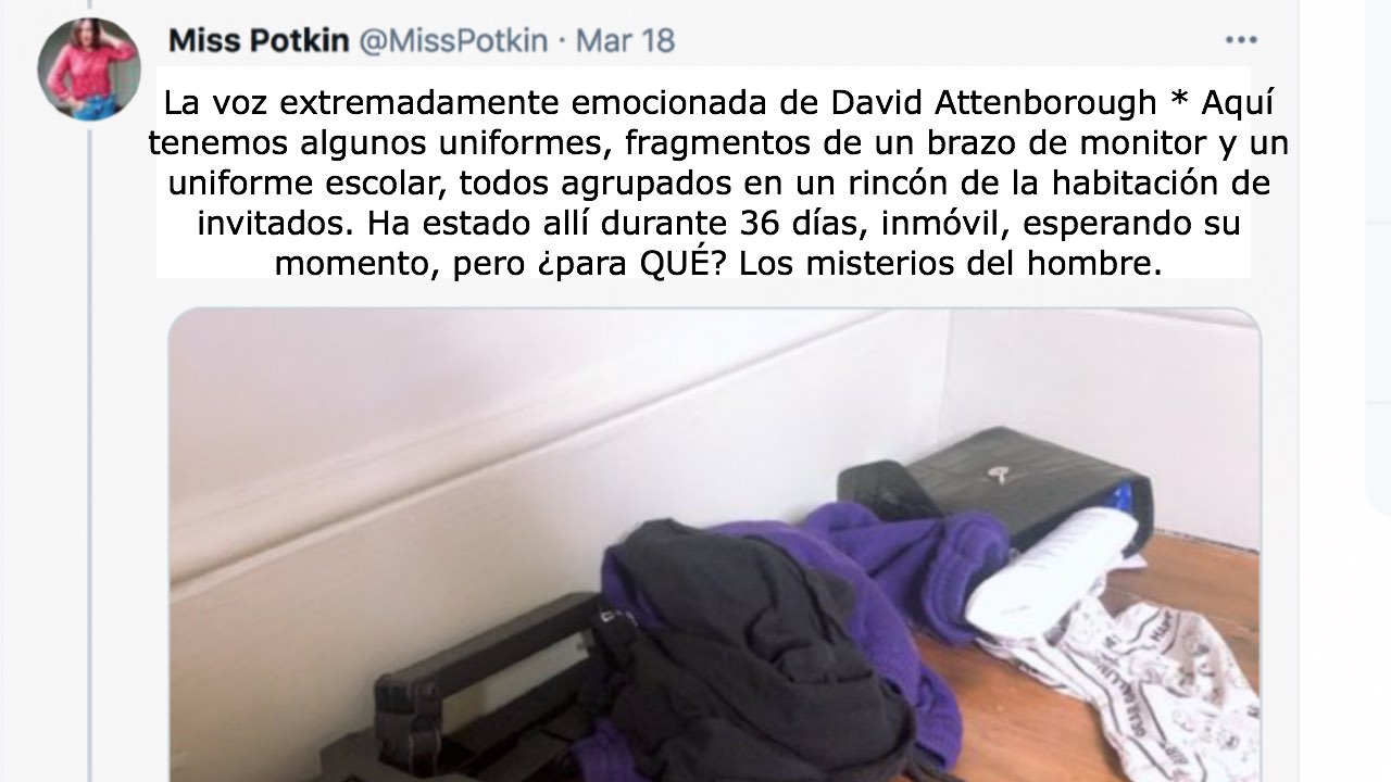ama de casa se puso en huelga ropa sucia