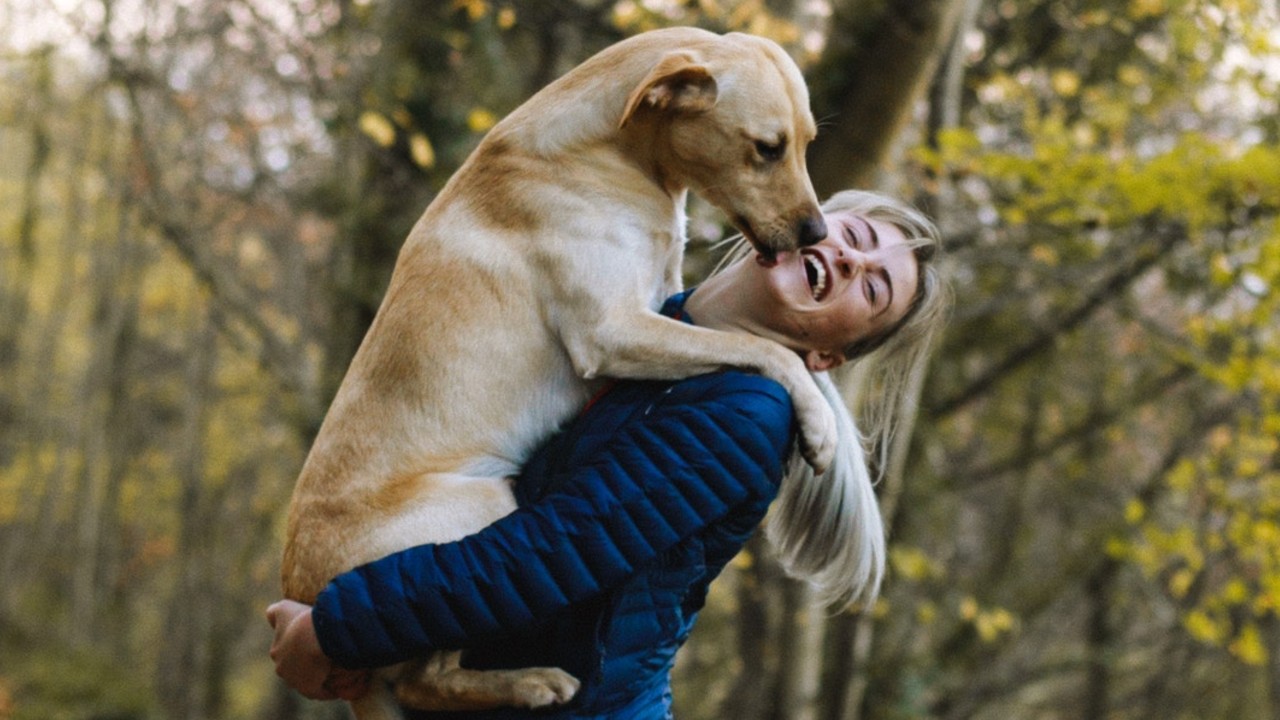 como saber si mi perro me quiere mucho