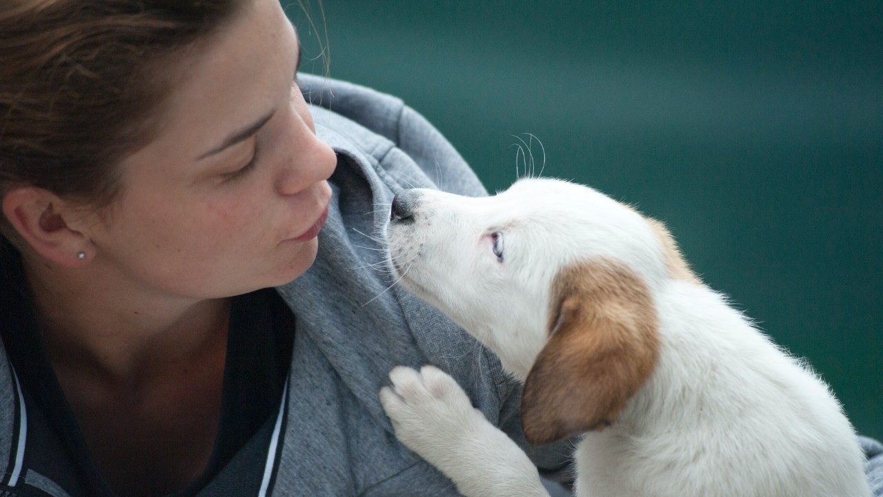 que significa que mi perro me bese