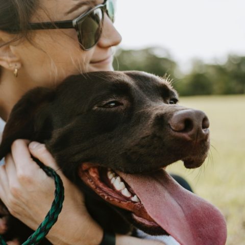 señales de que mi perro me quiere