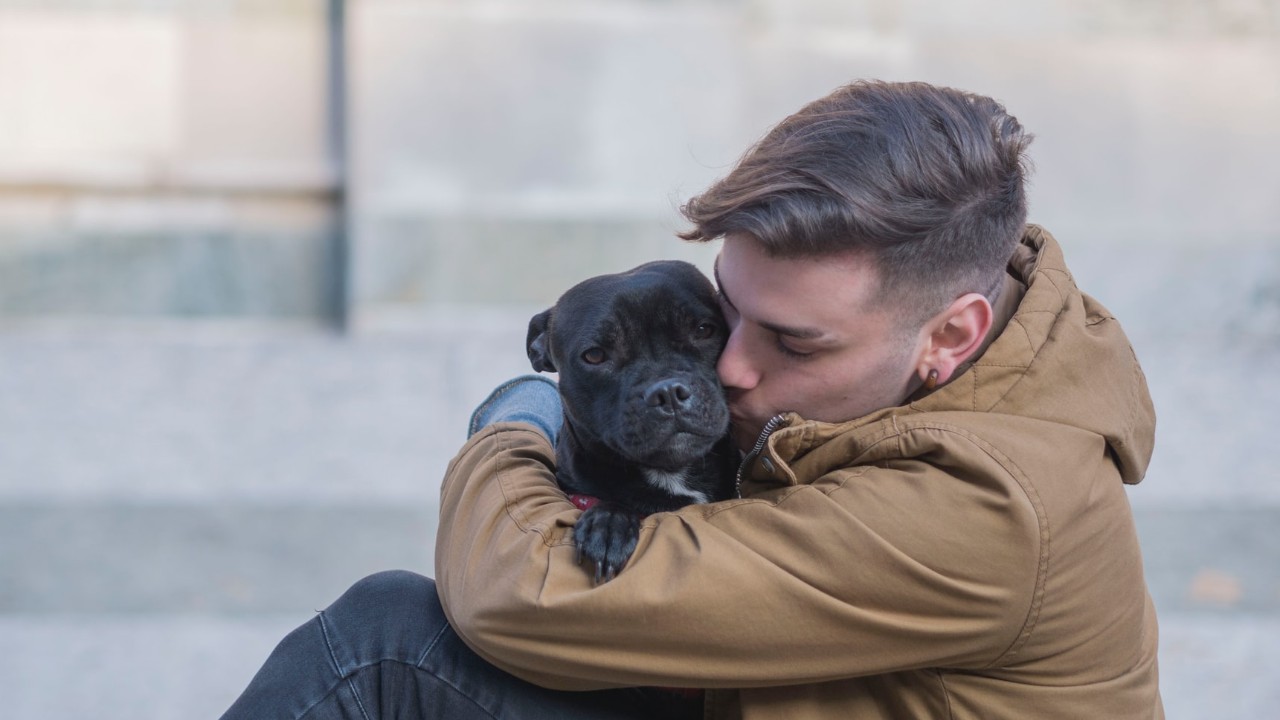 como saber si mi perro me quiere