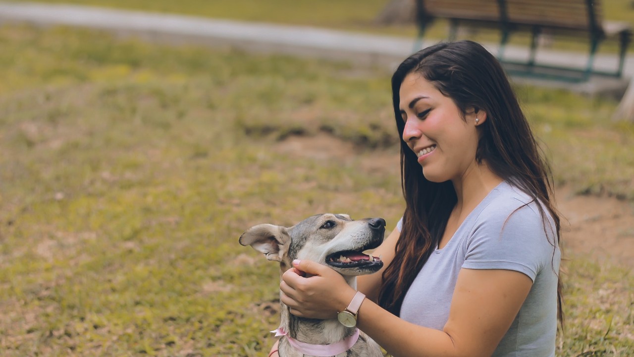 como me dice mi perro que me quiere