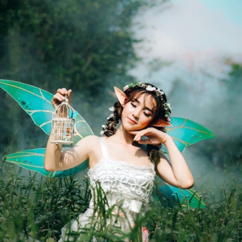 cual es tu hada segun tu signo zodiacal