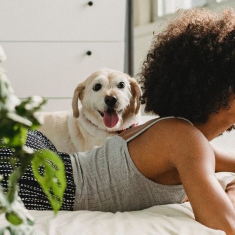 Qué plantas son tóxicas para mi perro