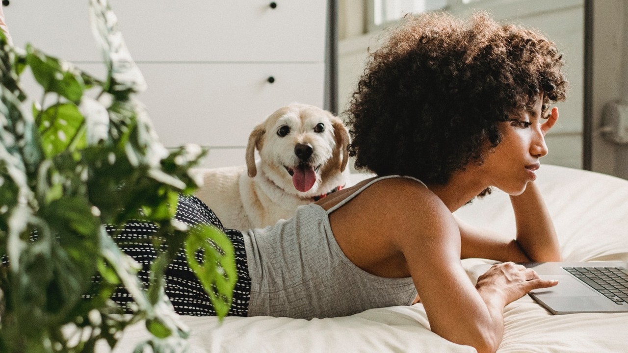 Qué plantas son tóxicas para mi perro