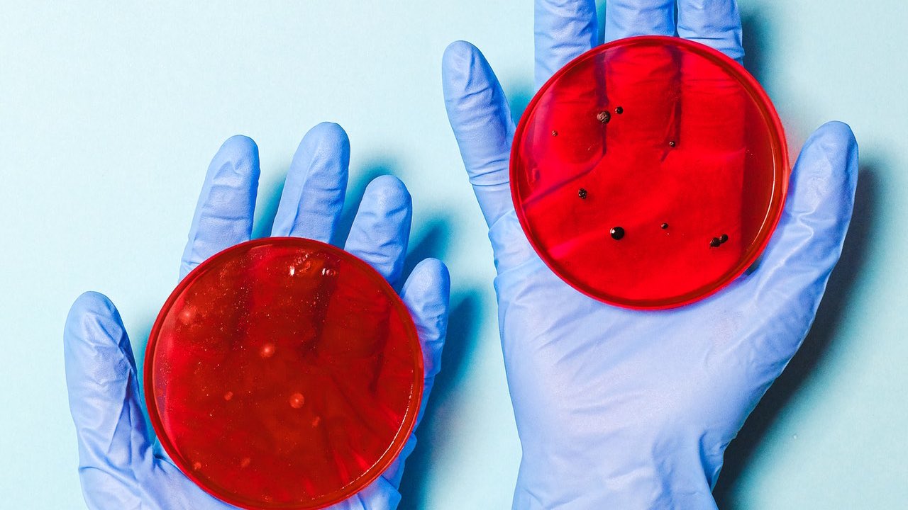 resfriado comun podría prevenir covid-19