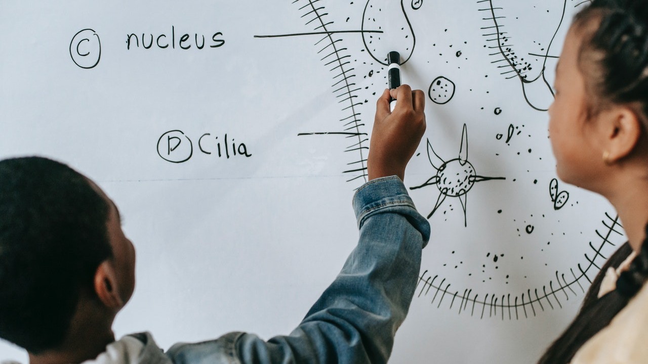 tips para ayudar a mejora la concentración hijos